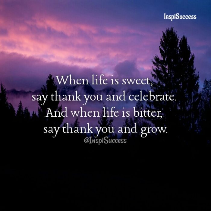When life is sweet, say thank you and celebrate